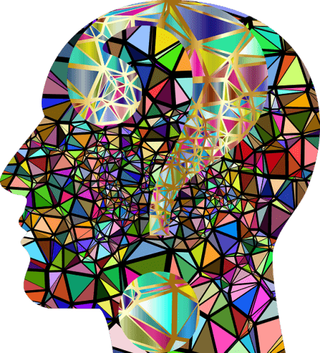 Phytonutriments et santé cérébrale