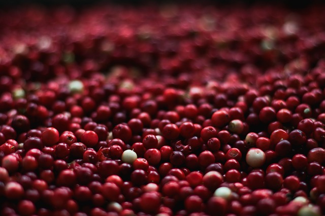 American cranberry.