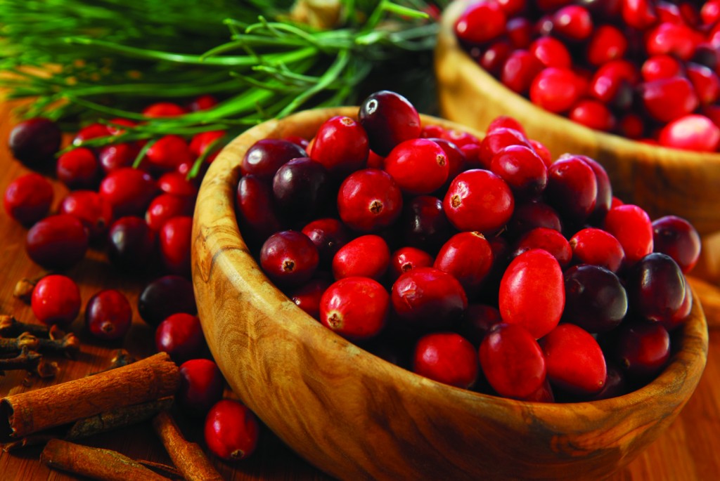 Cranberry Vaccinium macrocarpon – monograph – Phyto Canada
