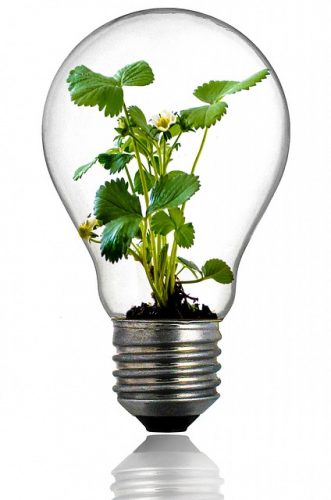 Innover dans le monde des végétaux