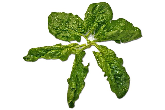Spinach is the important source of nitrate folds that helps the cavernous body give strong and lasting erections