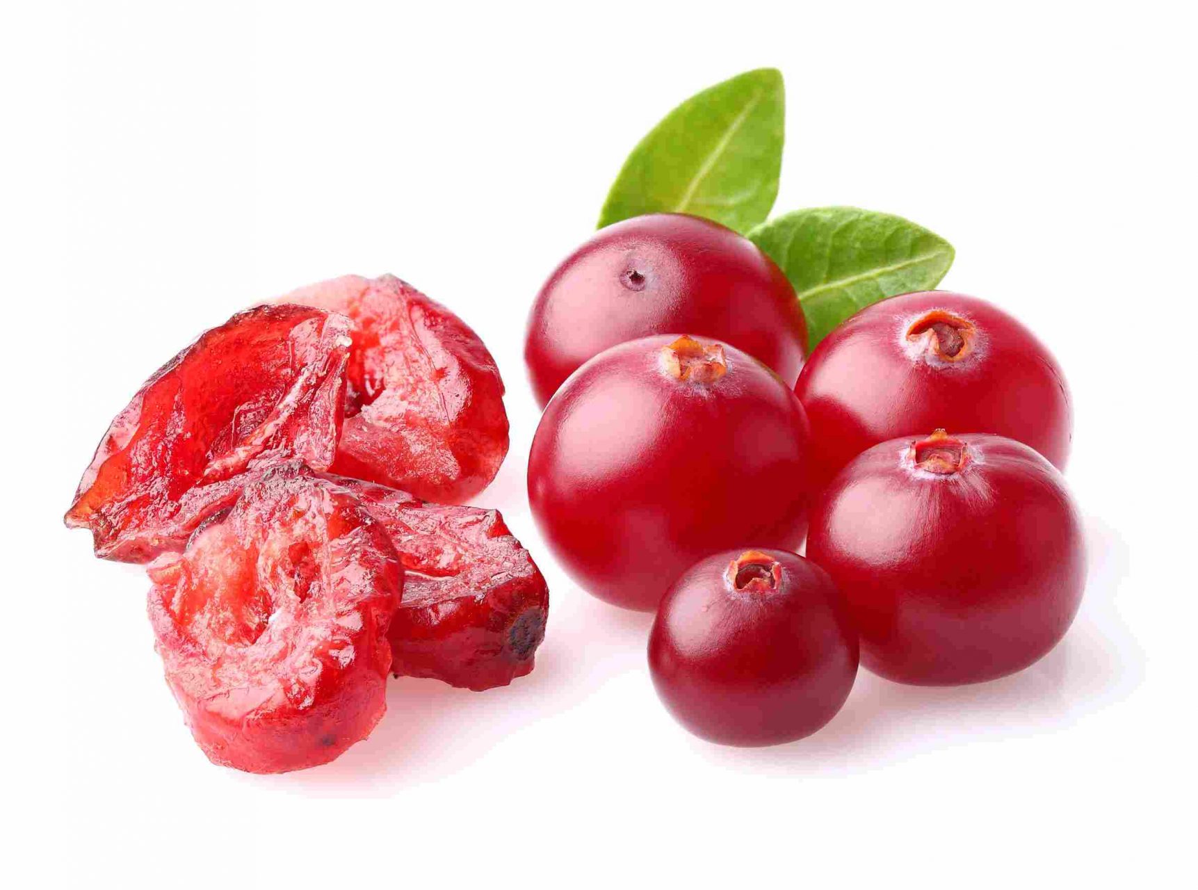 canneberges fraîches et séchées - offertes en poudre par Phytonutriment.ca