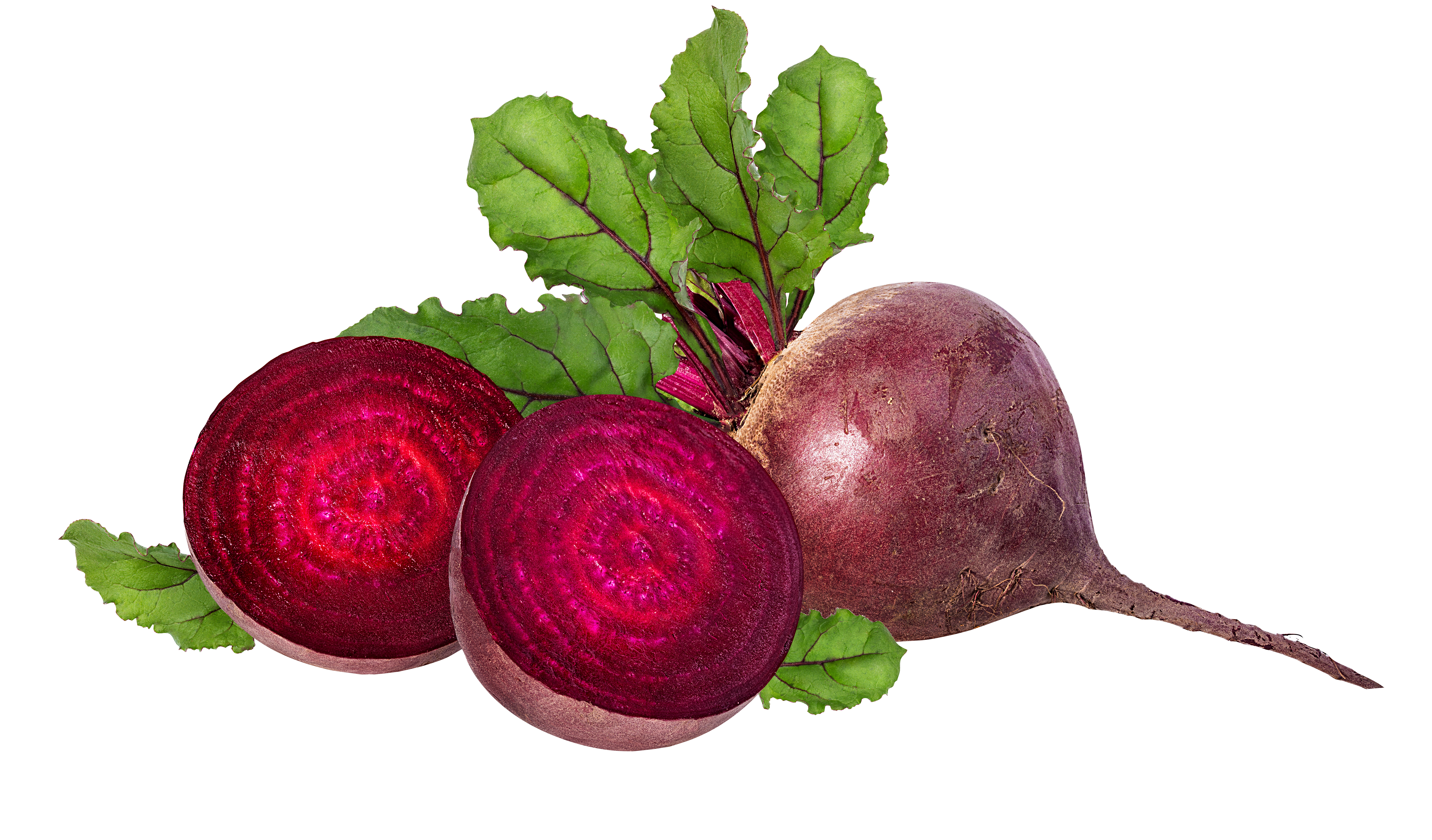 Beet powder offered by Phytonutrient Canada