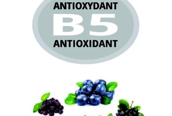 B5 formule antioxydant - Produit de Phytonutriment Canada