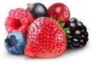 Berries: raspberry blueberry, blackberry, cinnamon and aronia for your health.